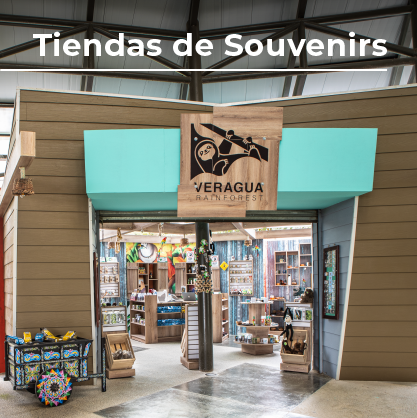 Atracciones_ESPAÑOL_6