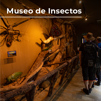 Atracciones_ESPAÑOL_8