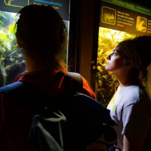 Ranario + Mariposario + Serpentario