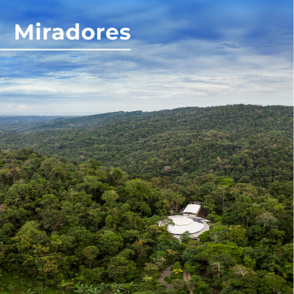 Atracciones_ESPAÑOL_10