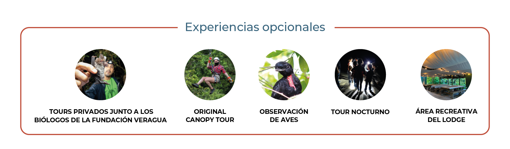 Opcional_español